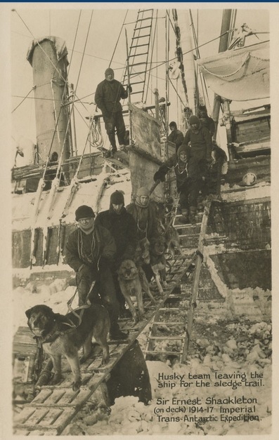 Antarctica: British Imperial Trans-Antarctic Expedition 1914-16, picture postcard of Husky team leaving the ship for the sledge trial, the enduring image showing the trapped Endurance and Shackleton on deck